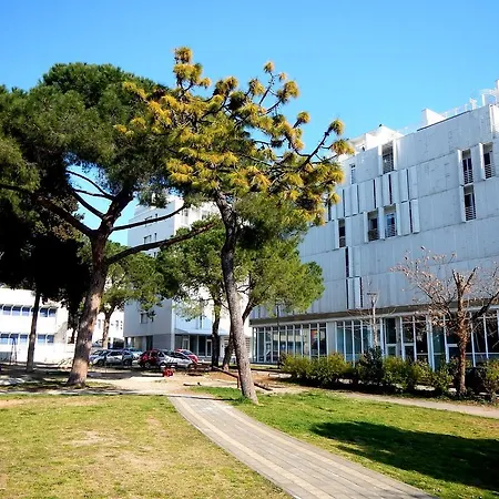 Mahagony Deluxe * זאדאר